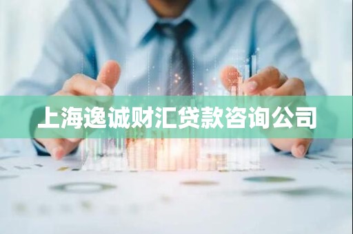 上海逸诚财汇贷款咨询公司