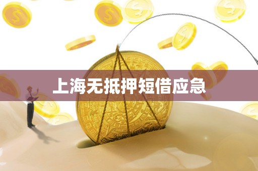 上海无抵押短借应急 上海无抵押短借应急