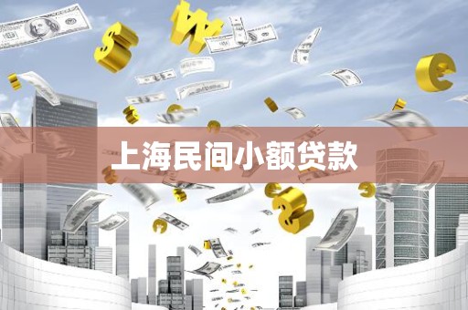上海民间小额贷款