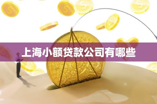 上海小额贷款公司有哪些 上海小额贷款公司有哪些