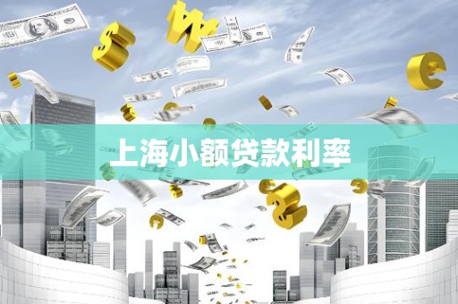 上海小额贷款利率 上海小额贷款利率