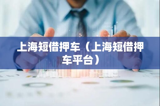 上海短借押车（上海短借押车平台）
