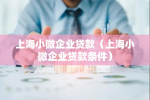 上海小微企业贷款(上海小微企业贷款条件) 上海小微企业贷款(上海小微企业贷款条件)