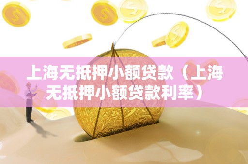 上海无抵押小额贷款（上海无抵押小额贷款利率）