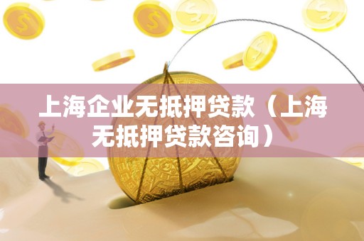 上海企业无抵押贷款（上海无抵押贷款咨询）