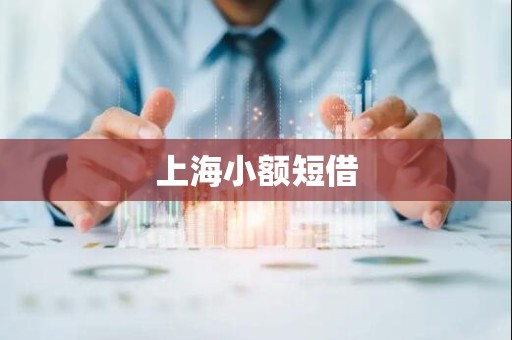 上海小额短借